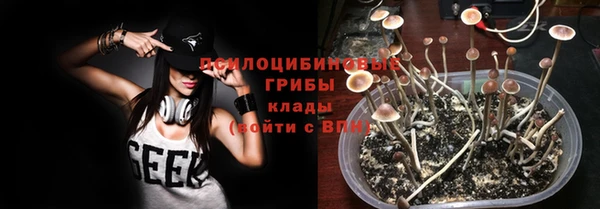 мдпв Заволжск