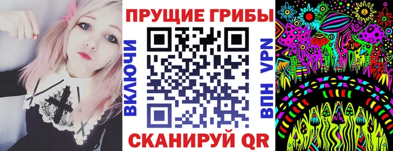 Псилоцибиновые грибы мицелий  Купить закладки  Гусев 